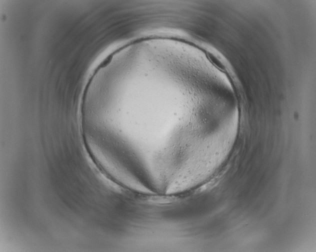 X0000080771199200701021113