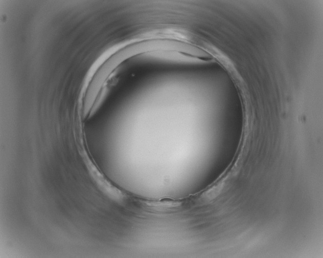 X0000080771200200701021113