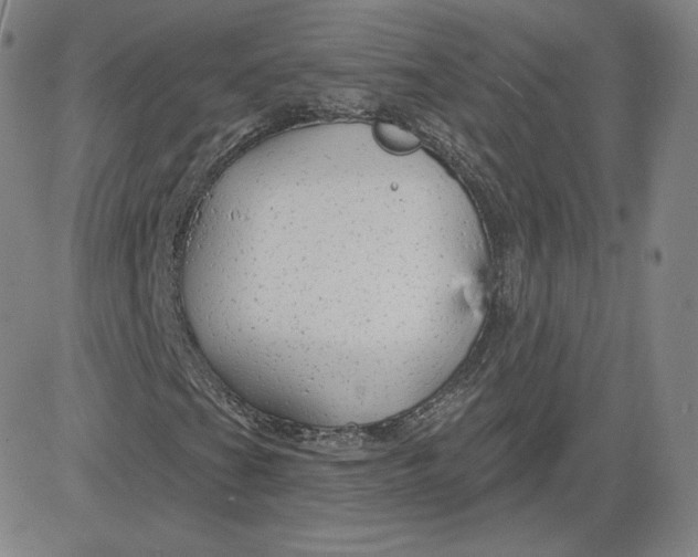 X0000080771201200701021112