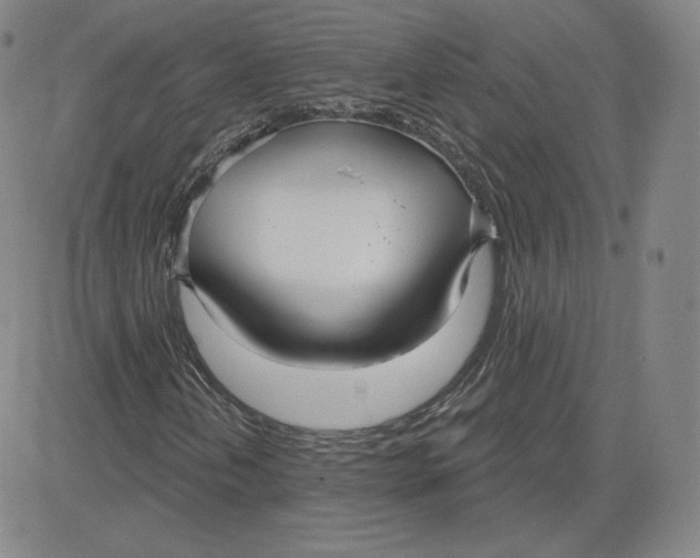 X0000080771202200701021112