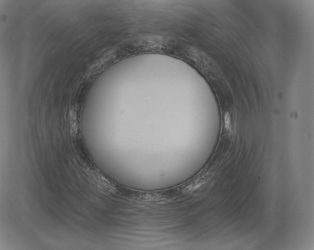 X0000080771203200701021112