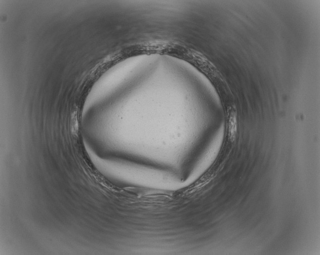 X0000080771204200701021112