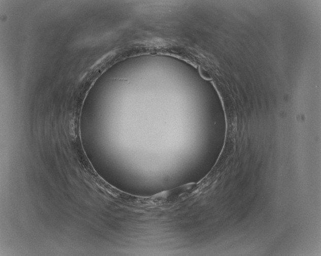 X0000080771205200701021112