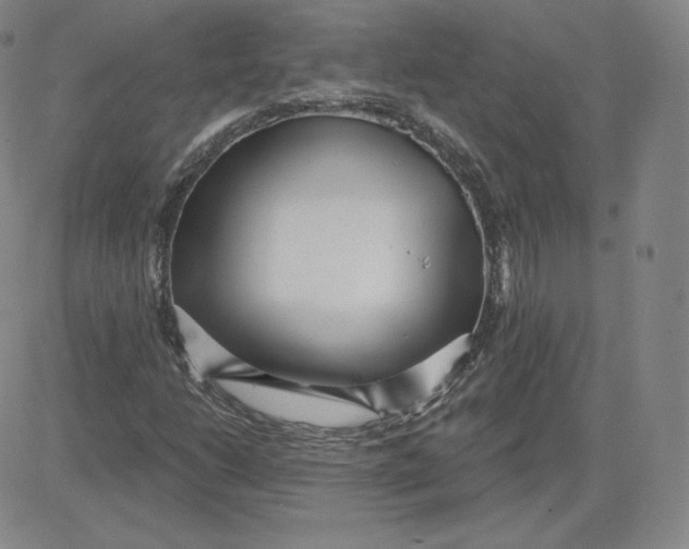 X0000080771206200701021112