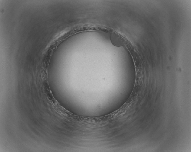 X0000080771207200701021112