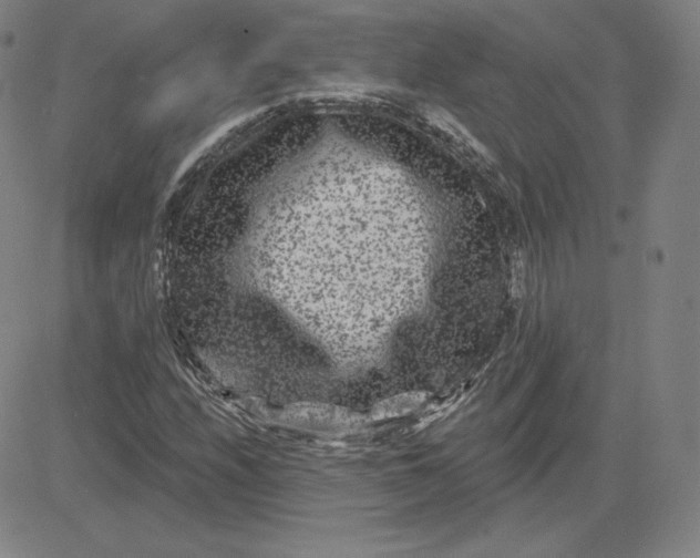 X0000080771208200701021113