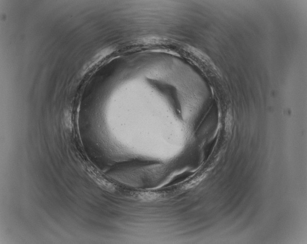 X0000080771209200701021113