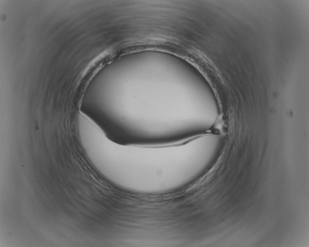 X0000080771210200701021113