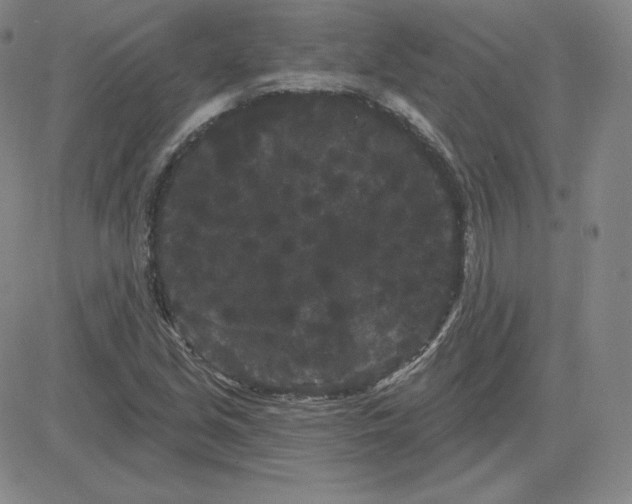 X0000080771213200701021113