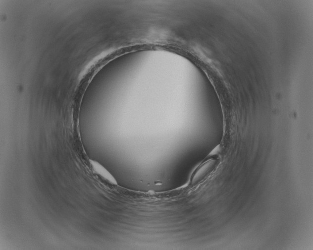 X0000080771214200701021113