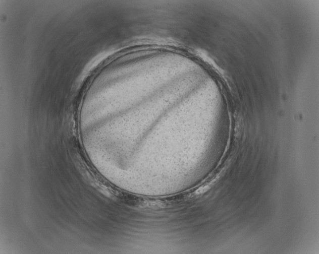 X0000080771215200701021113