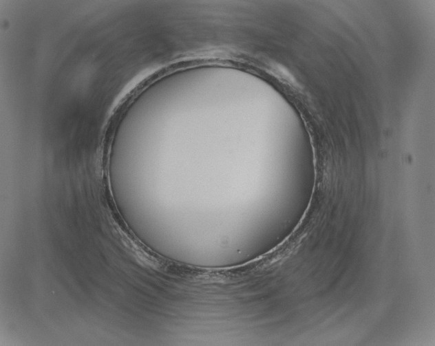 X0000080771216200701021113