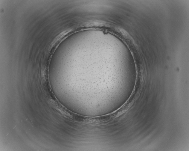 X0000080771217200701021113