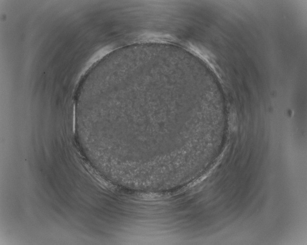 X0000080771219200701021113