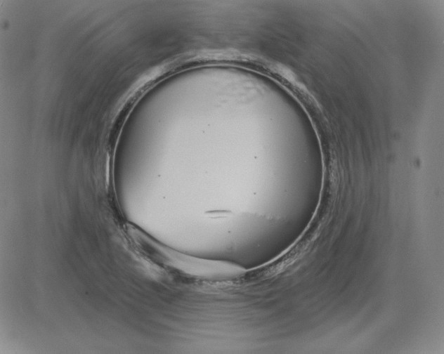 X0000080771221200701021113