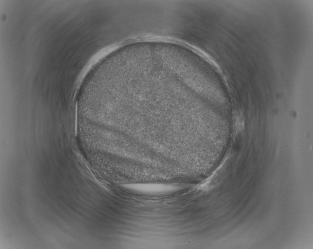 X0000080771223200701021113