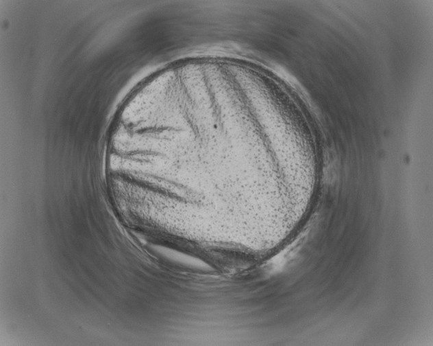 X0000080771224200701021113