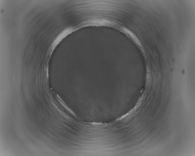 X0000080771226200701021113