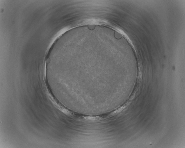 X0000080771227200701021113