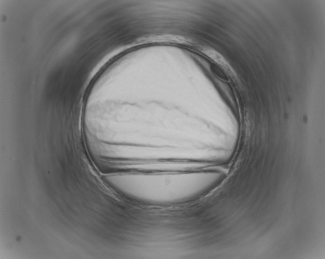 X0000080771228200701021113