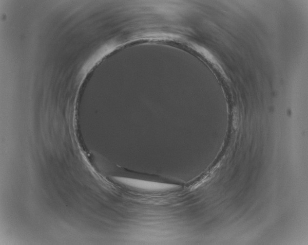 X0000080771229200701021113