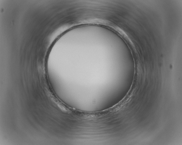 X0000080771230200701021113