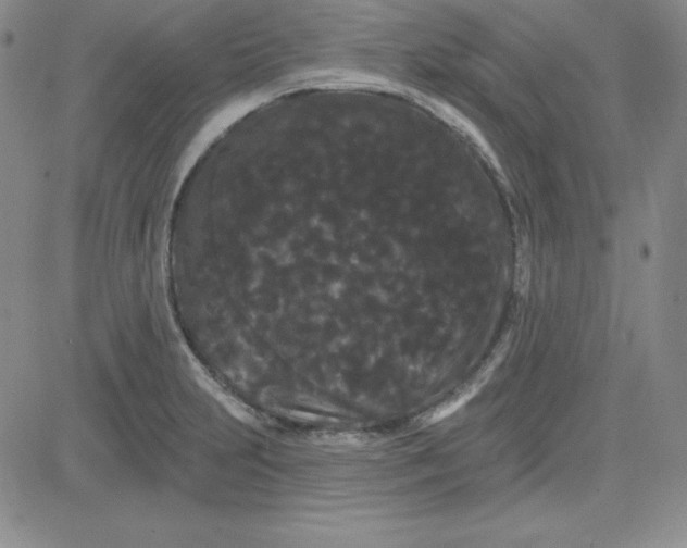 X0000080771231200701021113