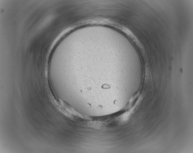 X0000080771232200701021113