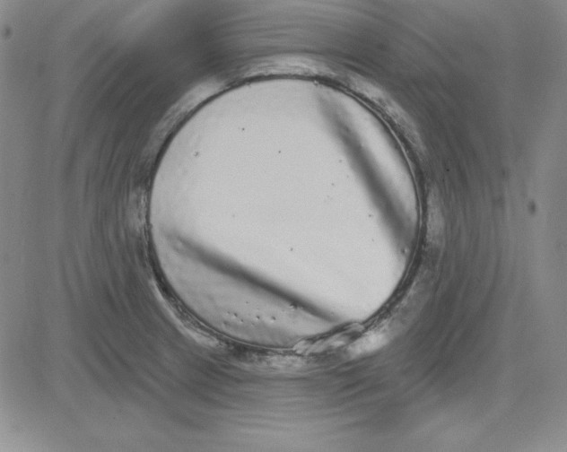 X0000080771233200701021113