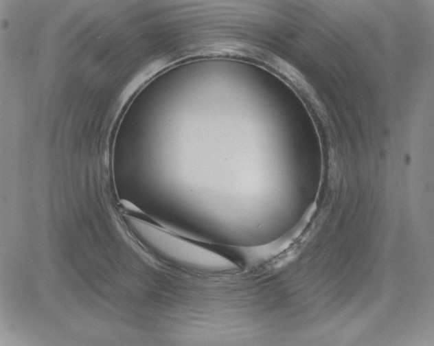 X0000080771234200701021113