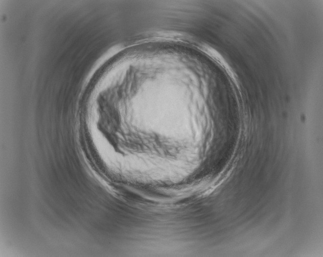 X0000080771235200701021113