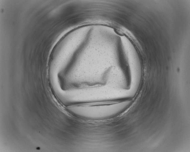 X0000080771236200701021113