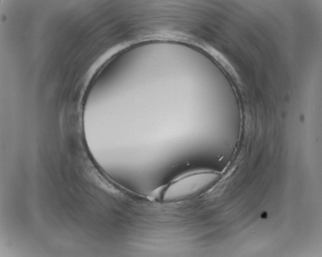 X0000080771238200701021113