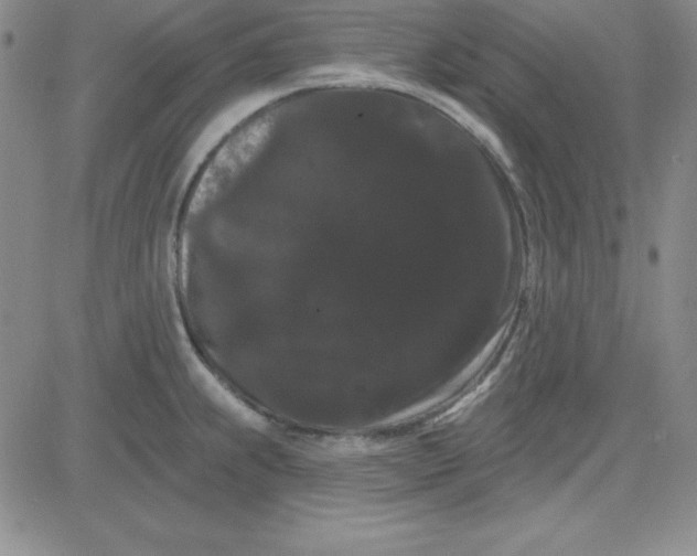 X0000080771239200701021113