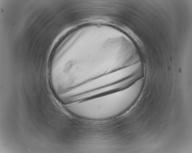 X0000080771240200701021113