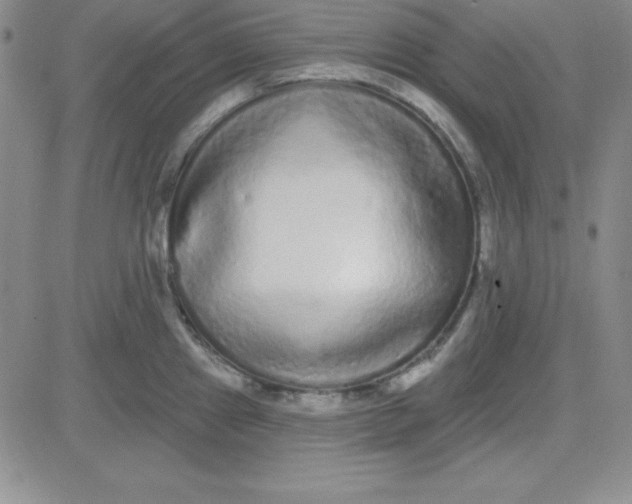 X0000080771241200701021113