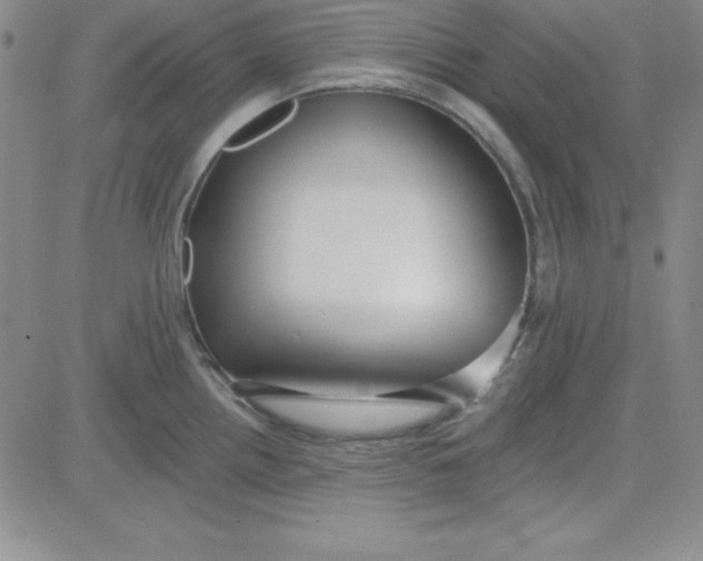 X0000080771242200701021113