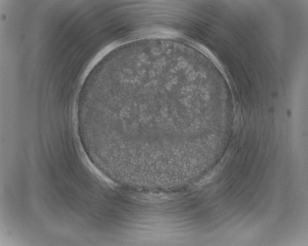 X0000080771243200701021113