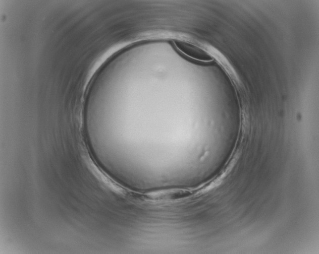 X0000080771244200701021113