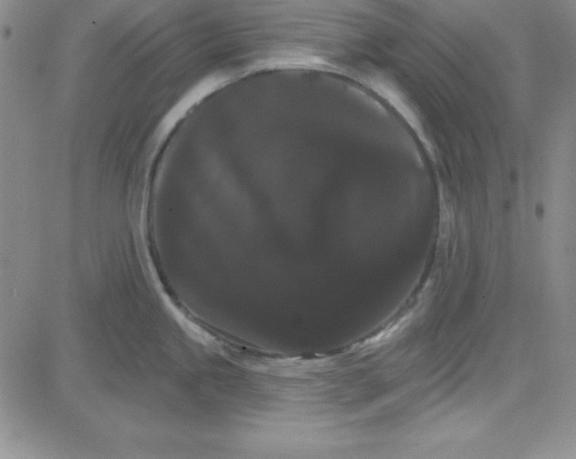 X0000080771245200701021113