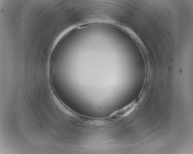 X0000080771246200701021113