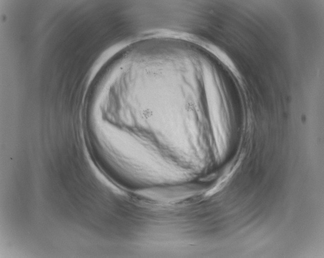 X0000080771247200701021113