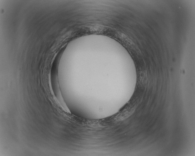 X0000080771249200701021112