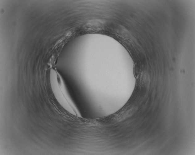 X0000080771250200701021112