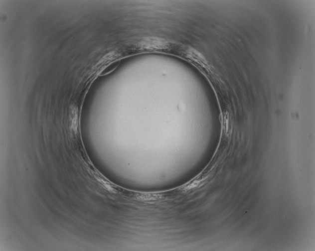 X0000080771251200701021112