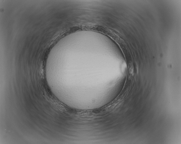 X0000080771252200701021112