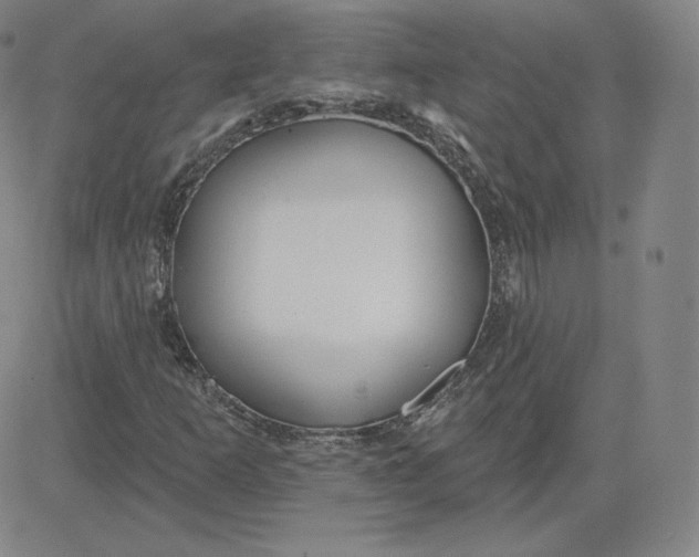 X0000080771253200701021112