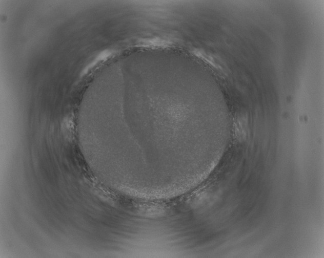 X0000080771254200701021112