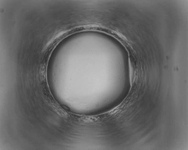 X0000080771255200701021112