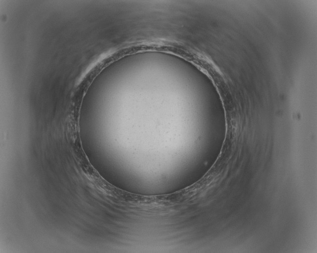 X0000080771256200701021112